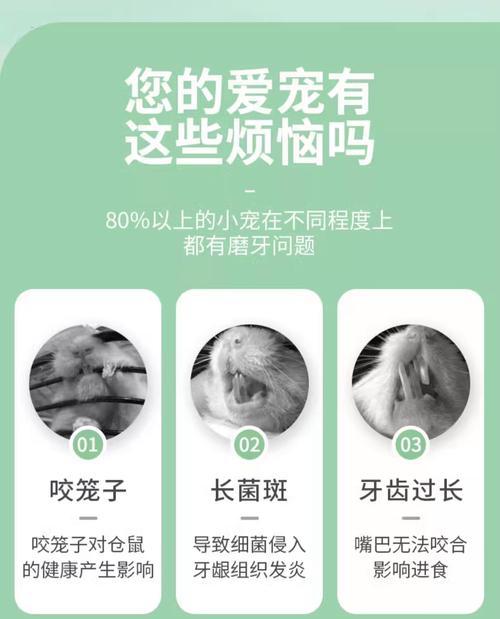 仓鼠磨牙石的更换周期及注意事项（了解仓鼠磨牙石的使用规律，关注你的小宠物牙齿健康！）