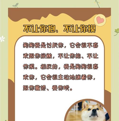 为什么这几种狗总是被嫌弃（揭开嫌弃狗的真相，关爱它们的理由）