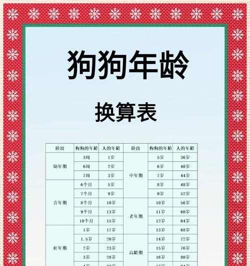 狗狗的饮食安排（根据狗狗的年龄确定每日喂食次数）