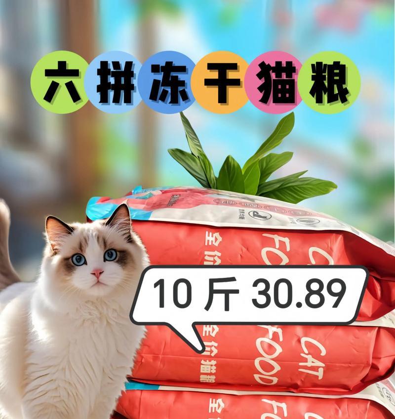 一斤猫粮能让猫咪吃多久？（揭秘猫粮消耗速度，提供科学喂养建议）
