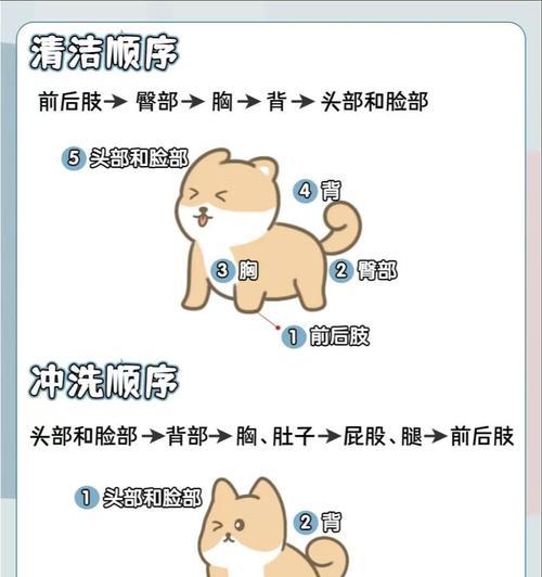 狗洗过澡多久能吃饭？（洗澡频率对狗狗饮食的影响）