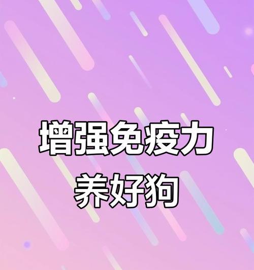 如何提高狗狗的免疫力？（有效方法帮助狗狗保持健康）