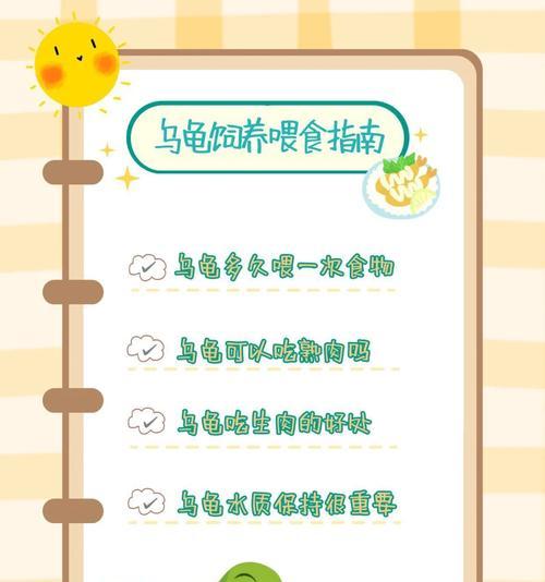 以巴西龟的排泄周期及相关注意事项（探寻巴西龟排泄频率和养护技巧）