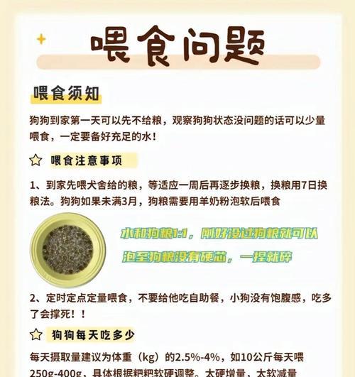揭秘狗狗的消化时间（从进食到排泄，了解你的狗狗的消化过程）