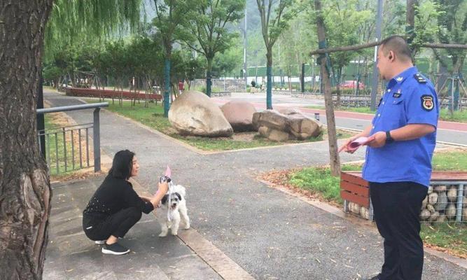 长沙县养犬许可申请数量激增，办证率高达99%（1.1万余起养犬许可申请受理，长沙县成为宠物犬养育热点）