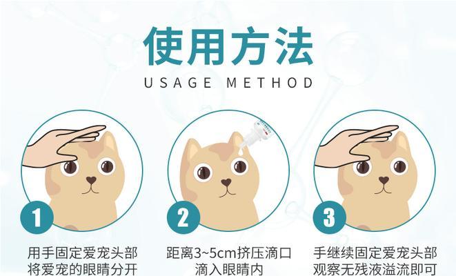 宠物滴眼液的正确使用频率（保护宠物眼睛健康的关键）